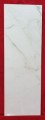 CALACATTA  EXTRA BIAŁY 25X75 CM 1.jpg